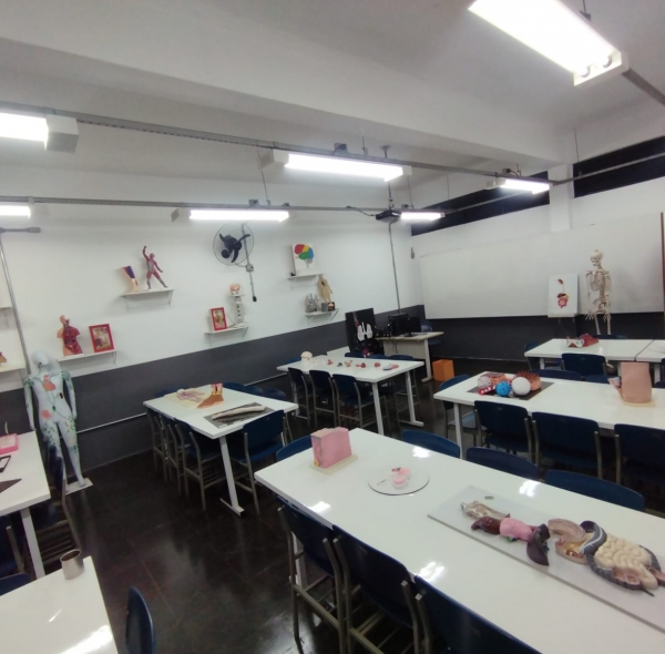 Natasha Franco Vieira Educação Profissional