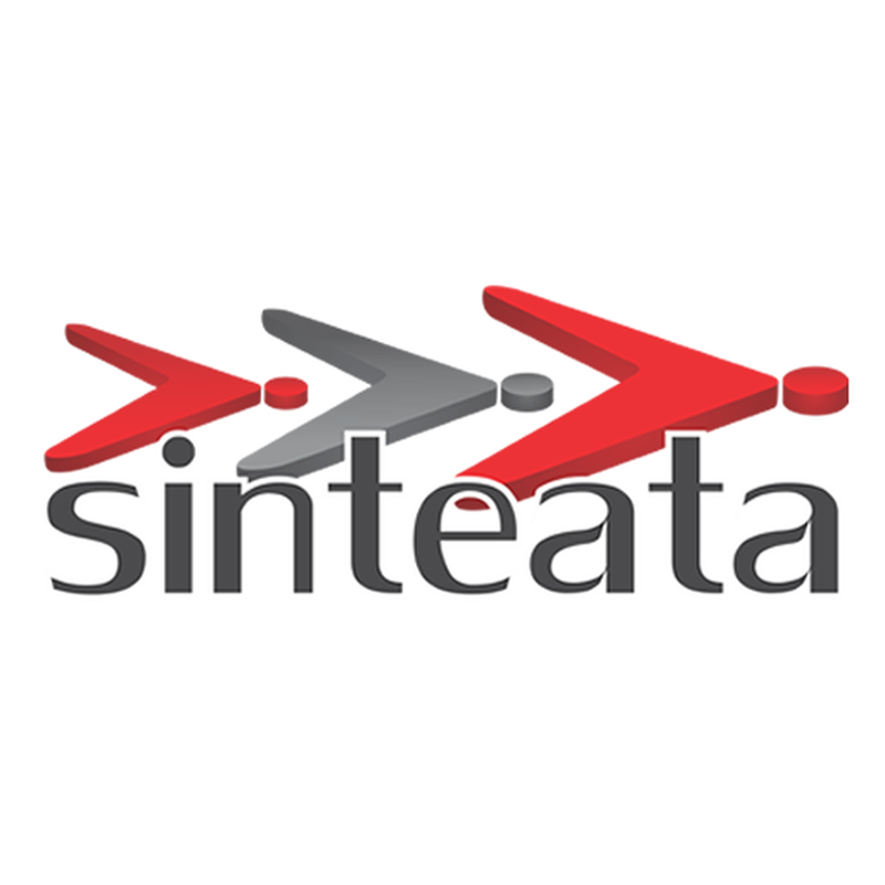 Sinteata